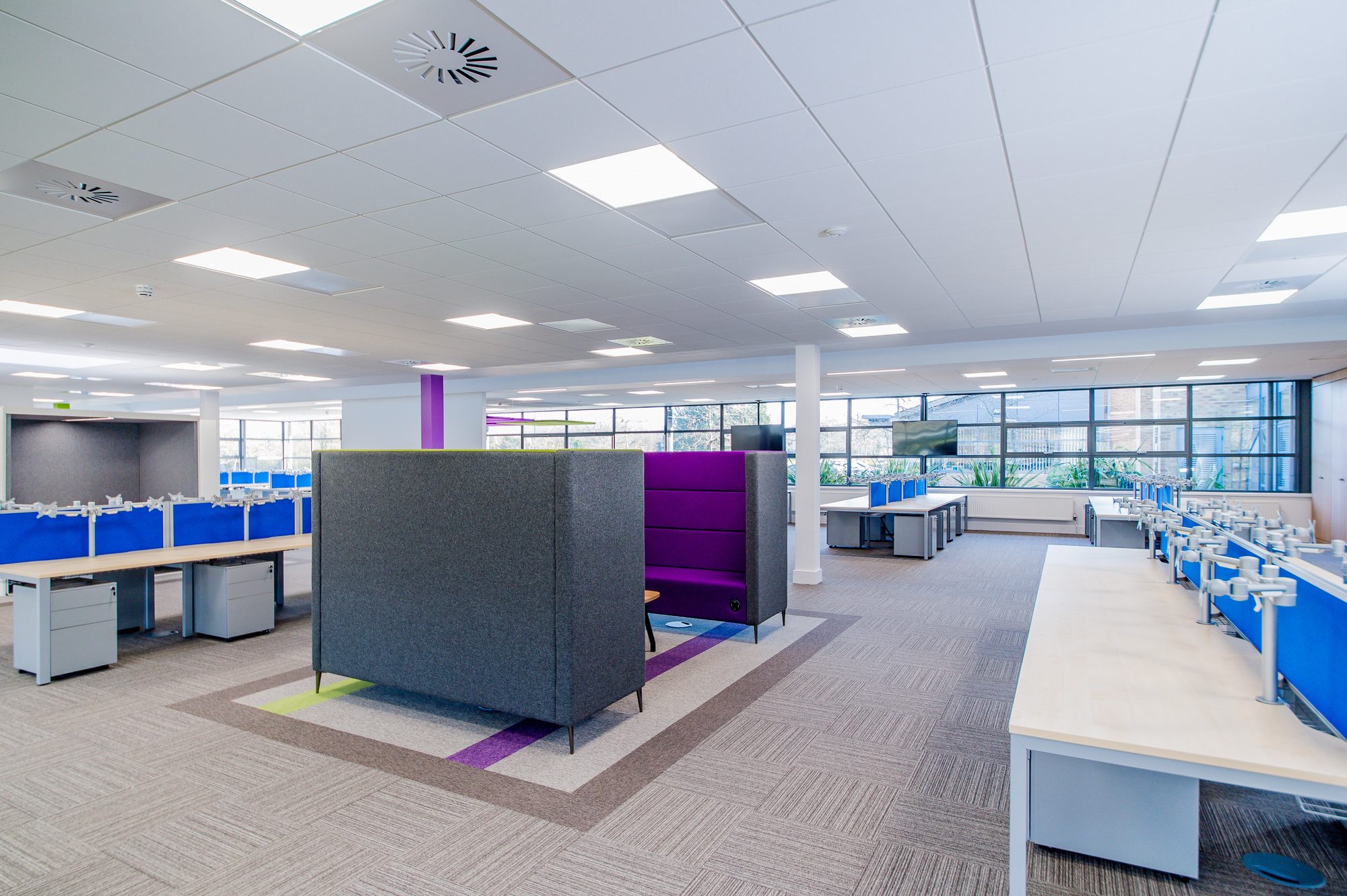 High collaboration bench under purple and lime acoustic rafts
