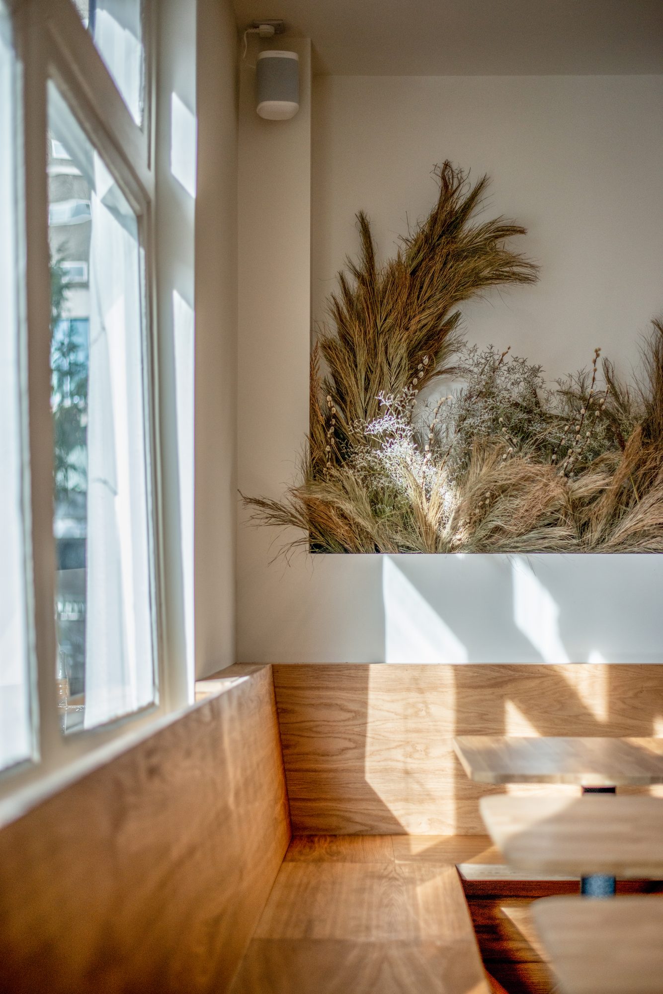 Window seat with afternoon light and dried grasses